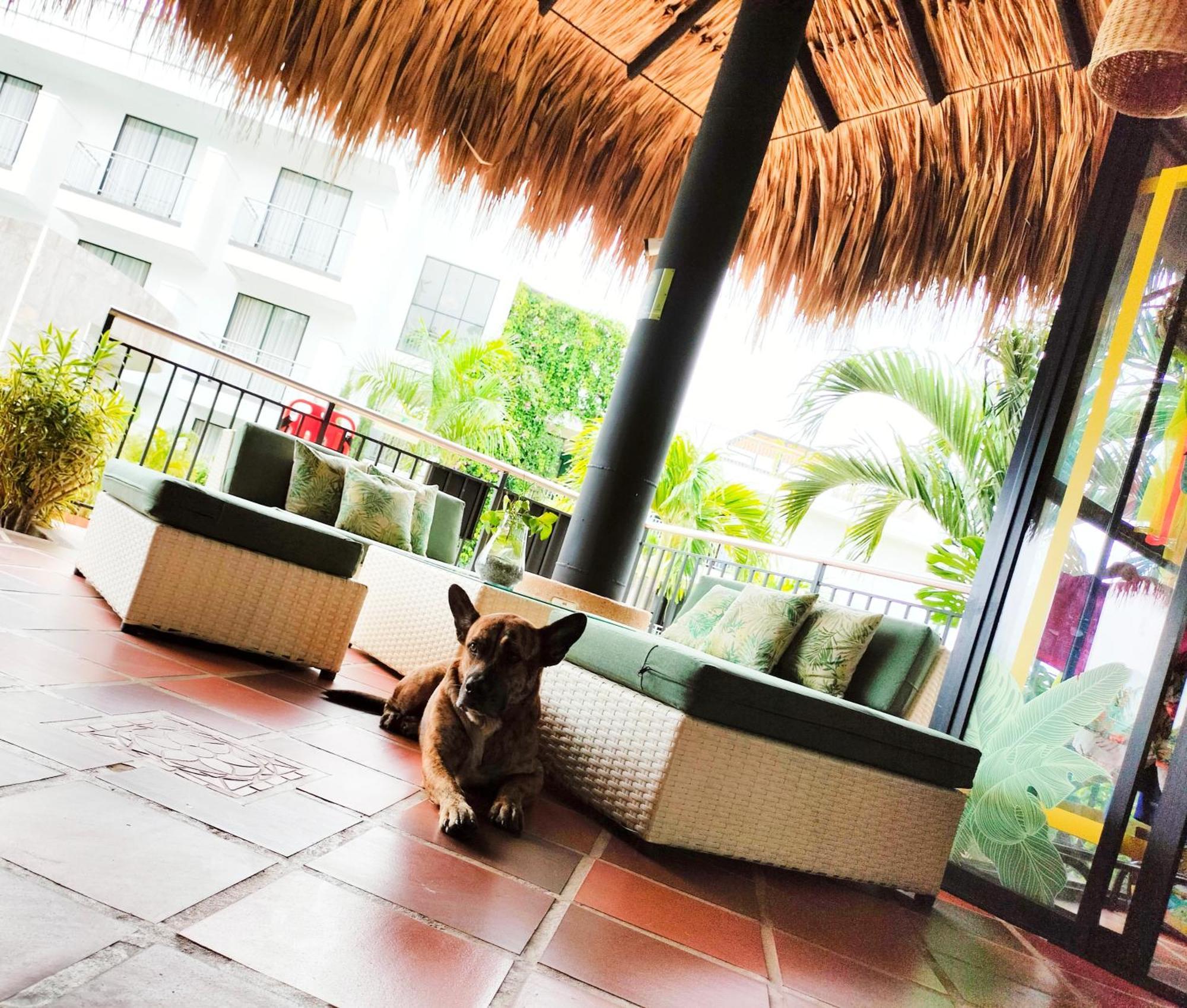 Hotel Arboreo Doradal 외부 사진